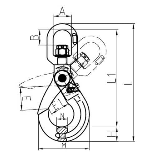 xn755-dims