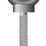 Long Shank Collared Eyebolts