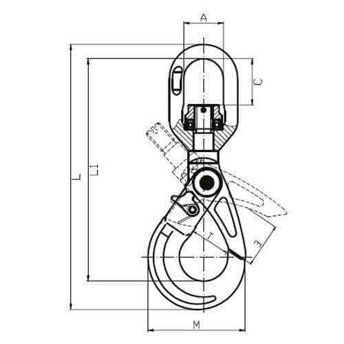 xn042-dims