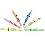 5 Tonne Complete Ratchet Strap - Coloured
