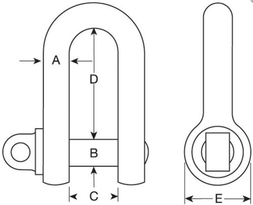 Large Dee Shackles
