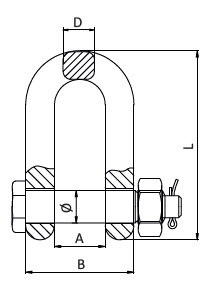 XN049 Grade 80 Bolt Type Chain D Shackle
