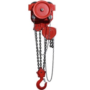 Tiger Combined Chain Block & Geared Trolley